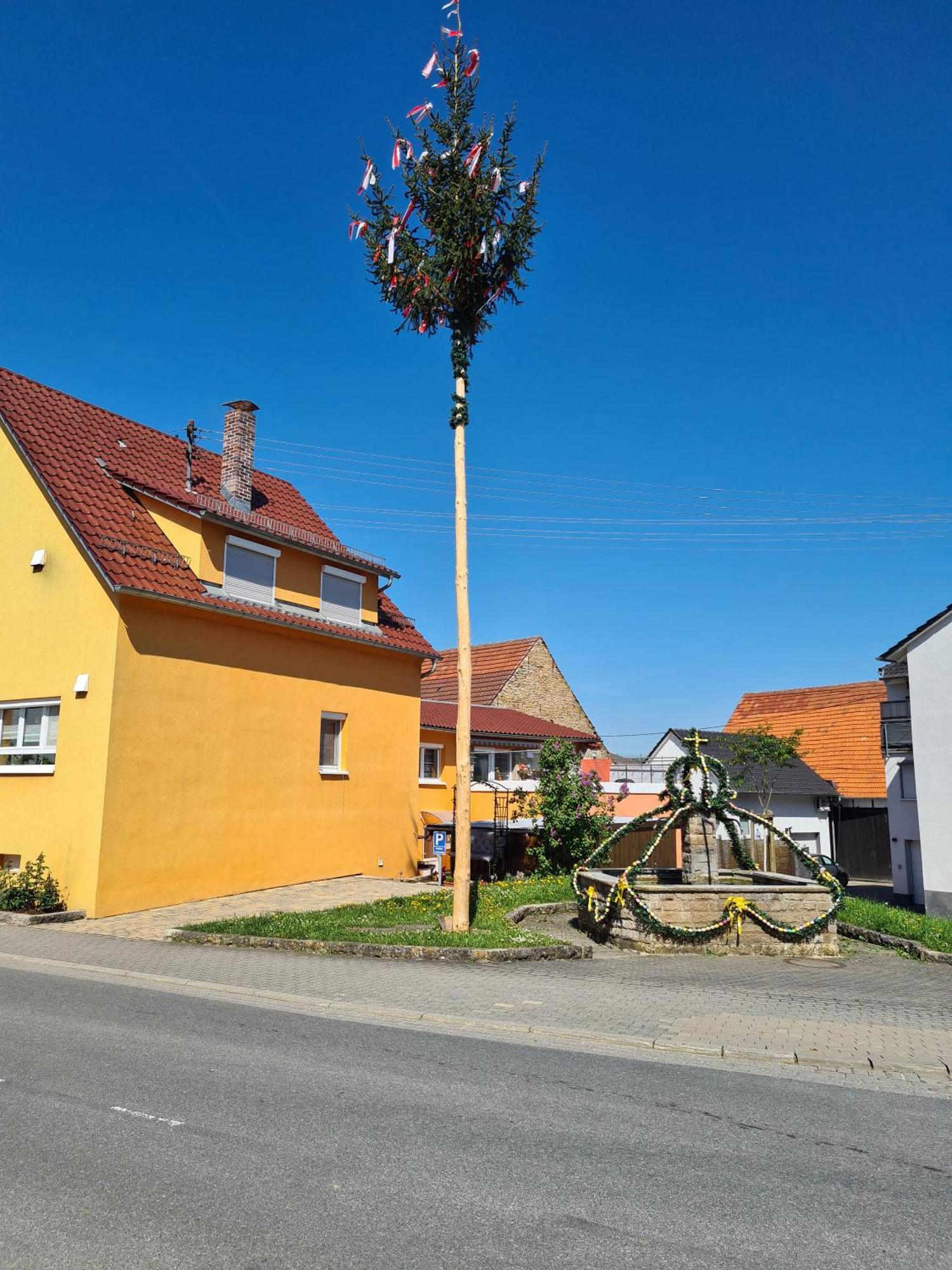 Ferienwohnung Pflueger Mit Terrasse Lauda-Königshofen Eksteriør billede